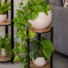 Double Tower Plant Stand -Garden Supplies Shop 8612683 2228 double tower plant stand