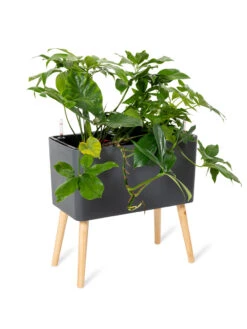 Ava Self-Watering Rectangular Planter -Garden Supplies Shop 8612691 0013