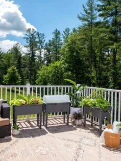 Self-Watering Standing Salad Planter With Cloche 13 Self-Watering Standing Salad Planter With Cloche -Garden Supplies Shop 8612702 2002 tif