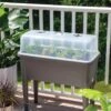 Self-Watering Standing Salad Planter With Cloche -Garden Supplies Shop 8612702 2032 tif