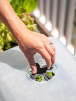 Self-Watering Standing Salad Planter With Cloche 11 Self-Watering Standing Salad Planter With Cloche -Garden Supplies Shop 8612702 2034 tif