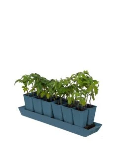 Gardener's Best® XL Seed Starting Kit -Garden Supplies Shop 8613066 0029