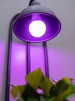 Kira Grow Light Hanging Planter 10 Kira Grow Light Hanging Planter -Garden Supplies Shop 8613232 5663
