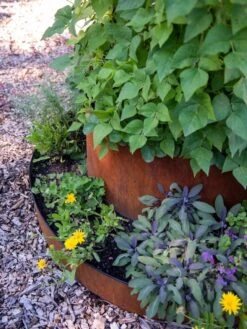 Birdies™ Corten Steel Tiered Round Raised Bed Kit, Tall -Garden Supplies Shop 8613245 0195