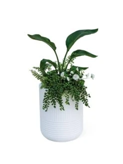 Arden Round Planter -Garden Supplies Shop 8613267 0115