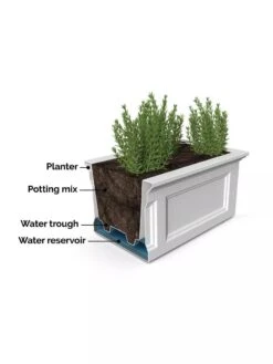 Fairfield Self-Watering Elevated Garden Bed -Garden Supplies Shop 8613283 07V 3 4