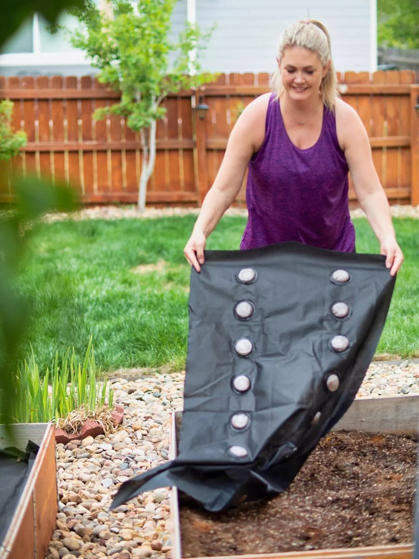 SeedSheets Organic Vegetable Garden, Easy Breezy Caprese, 4' X 8' 7 SeedSheets Organic Vegetable Garden, Easy Breezy Caprese, 4' X 8' - Image 5