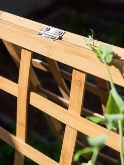 Bambo A Frame Plant Support, 30" X 42.5" -Garden Supplies Shop 8613310 6525