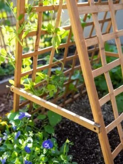 Bambo A Frame Plant Support, 30" X 42.5" -Garden Supplies Shop 8613310 6556