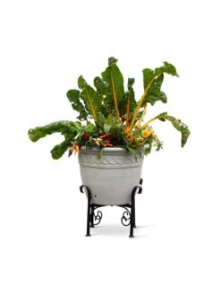 Covington Adjustable Plant Stands -Garden Supplies Shop 8613347 0119