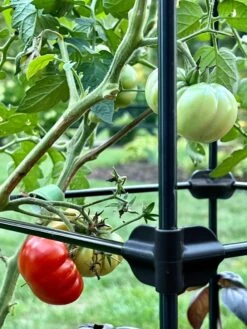 Oasis Self-Watering Tomato Planter With Trellis -Garden Supplies Shop 8613440 01TEST