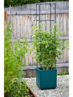 Oasis Self-Watering Tomato Planter With Trellis -Garden Supplies Shop 8613440 0376 3 4 1