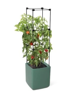 Oasis Self-Watering Tomato Planter With Trellis -Garden Supplies Shop 8613440 06134