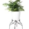 Aubrey Adjustable Plant Stand -Garden Supplies Shop 8613454 5716 aubrey adjustable plant stand