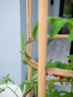 Elevated Bamboo Tomato Planter And Trellis -Garden Supplies Shop 8613502 0423