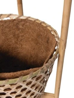 Elevated Bamboo Tomato Planter And Trellis -Garden Supplies Shop 8613502 4685