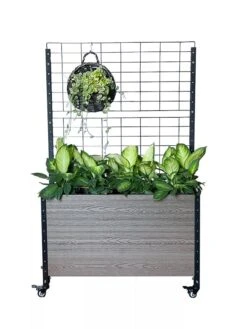 Mobile Deep Trough Planter With Trellis -Garden Supplies Shop 8614265 03V