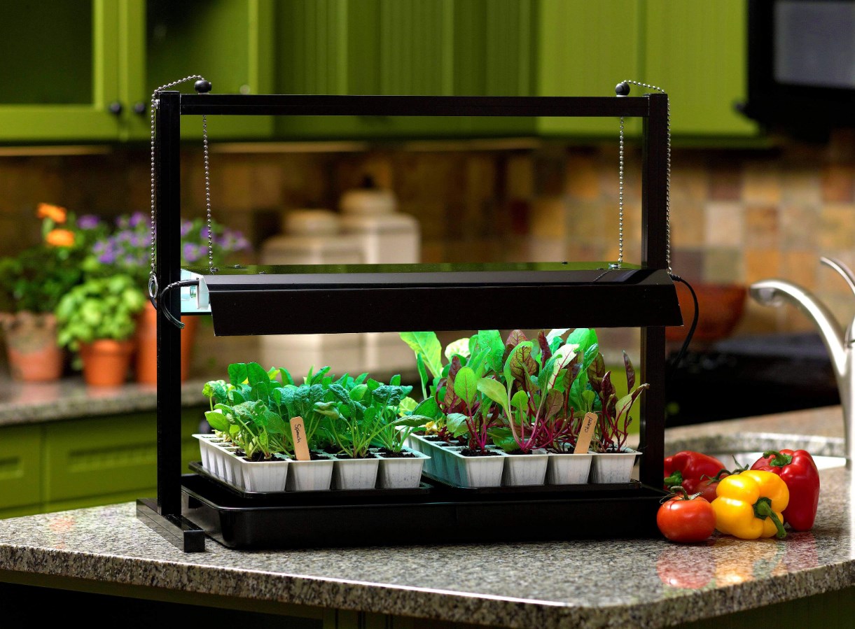 Garden Supplies Shop -Garden Supplies Shop Dingtalk 20240529150036