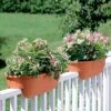 2' X 4' Railing Planter, 25" 2 2' X 4' Railing Planter, 25" -Garden Supplies Shop GS34336 01 24 inch 2x6 railing planters