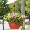 Self-Watering Hanging Basket -Garden Supplies Shop GS34368 10 tif