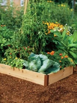 Garden Supplies Shop -Garden Supplies Shop GS35639 01