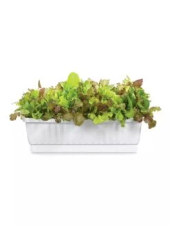 31" Self-Watering Window Box -Garden Supplies Shop GS36523 01Z 3 4