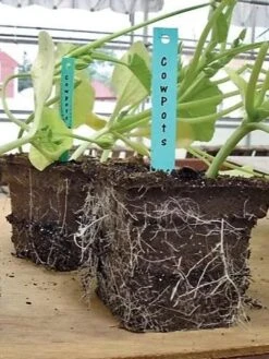 2-3/4" Square Cowpots 6-Packs, Set Of 4 -Garden Supplies Shop GS37034 05