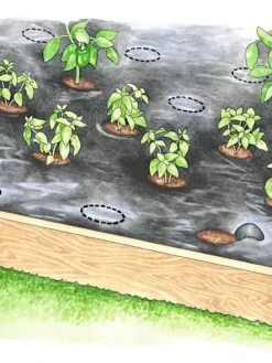 Easy-Plant Weed Block Mulch