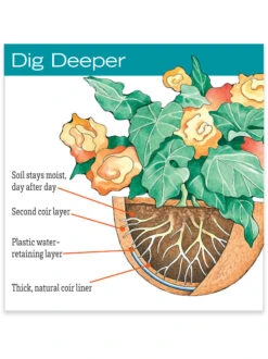 AquaSav™ Replacement Liners, Set Of 3 8 AquaSav™ Replacement Liners, Set Of 3 -Garden Supplies Shop hiw 38 583