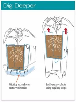 Stoneware Self-Watering Windowsill Planters, Set Of 2 -Garden Supplies Shop hiw 8593943 jpg